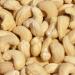 Cashew-Nuts-Farming-in-Kenya.jpg
