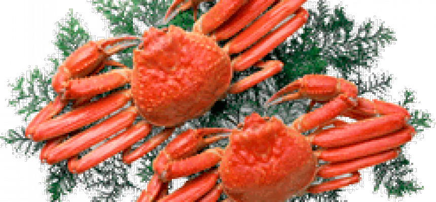 saimnieciba